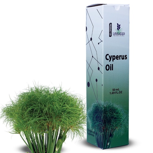 Pure Cyperus Oil